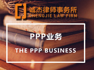 PPP业务